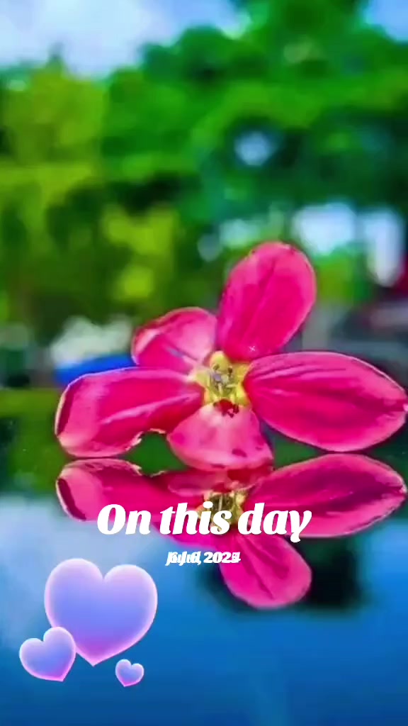 @yo nichu 123
