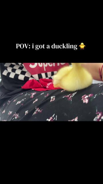 @Slavitssa