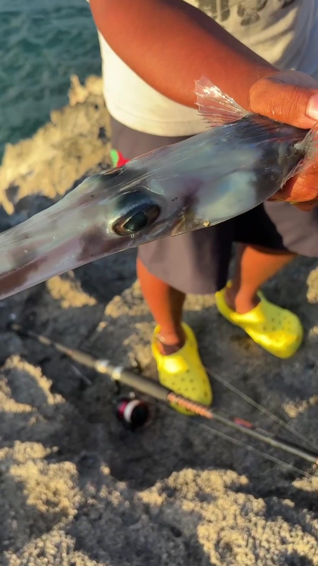 @fishmason