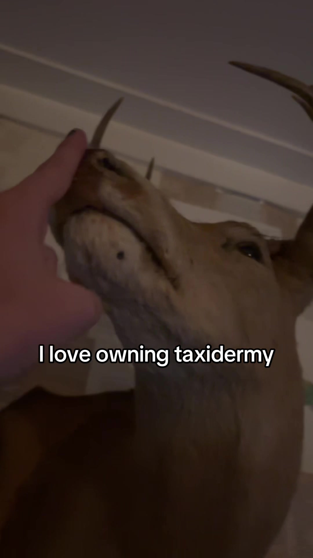 @mar