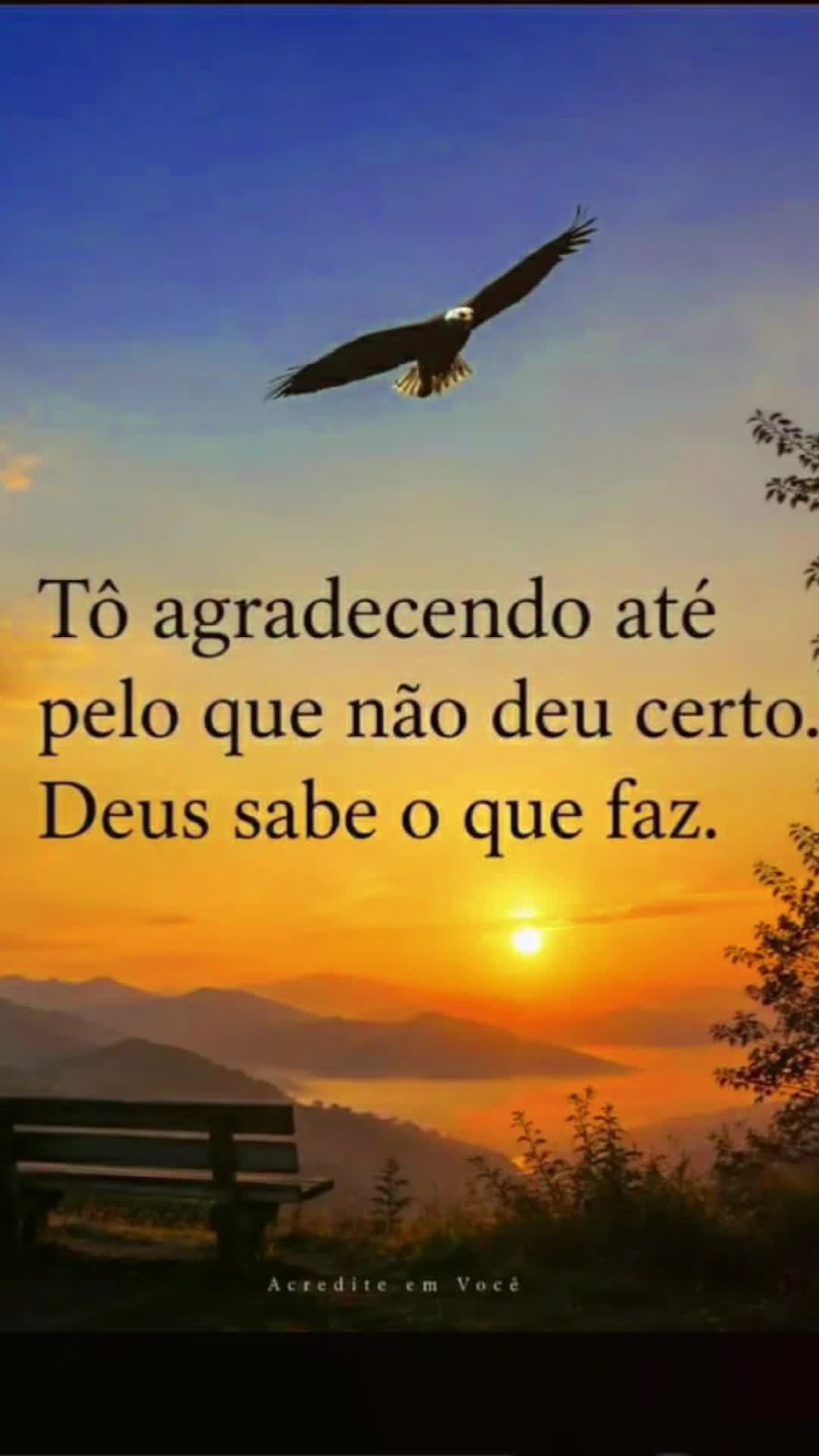 @Maria Lourdes