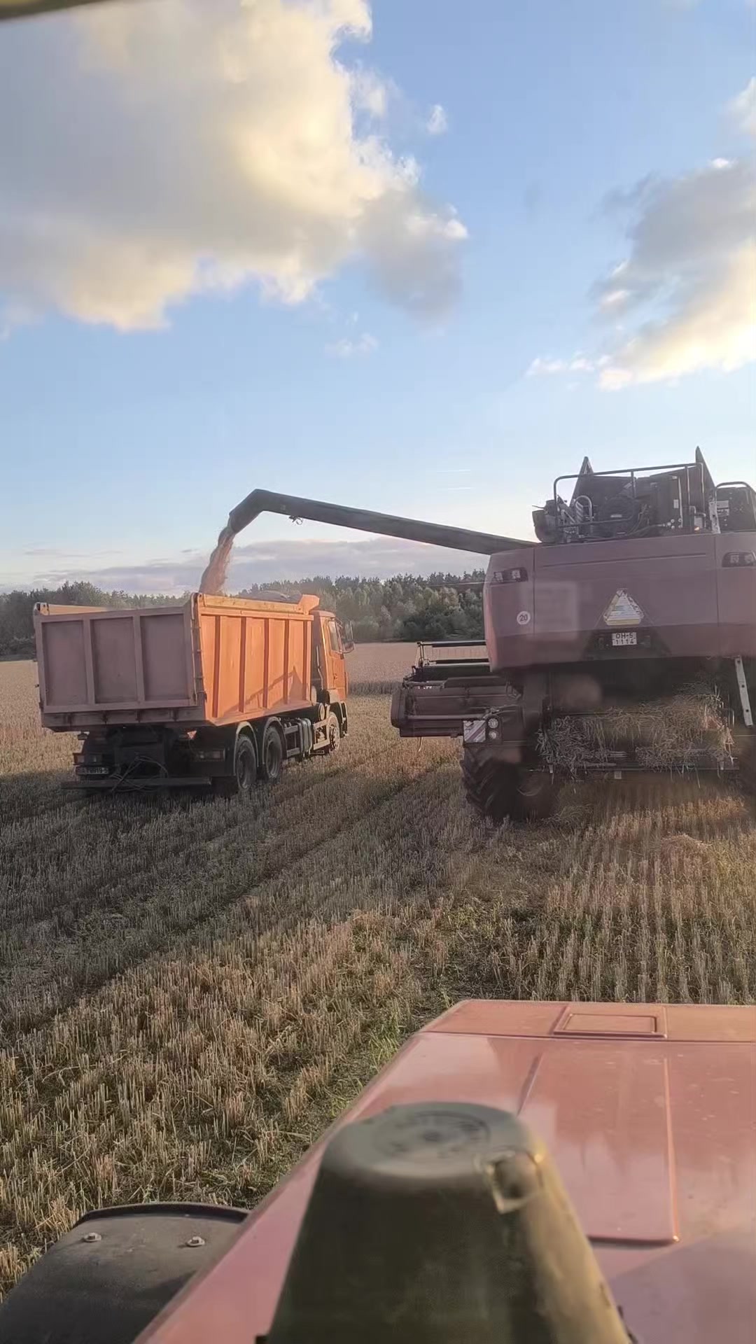 @🚜ⲇяⲇьⲕᥲ ᥲⲏⲧ𐔖ⲏ🚜
