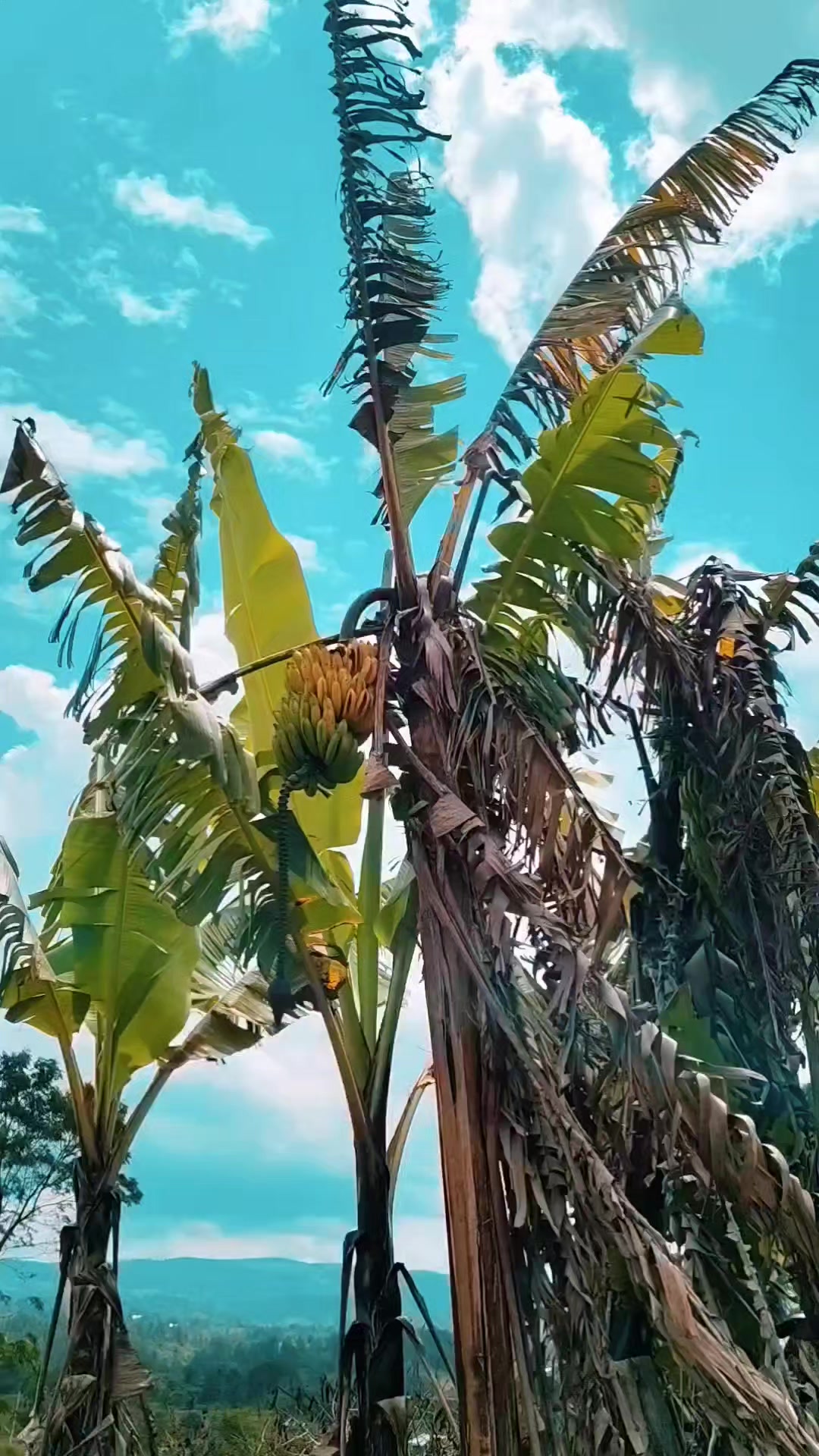 @𝙈𝙧. 𝙃𝙄𝙏𝙀🇮🇩