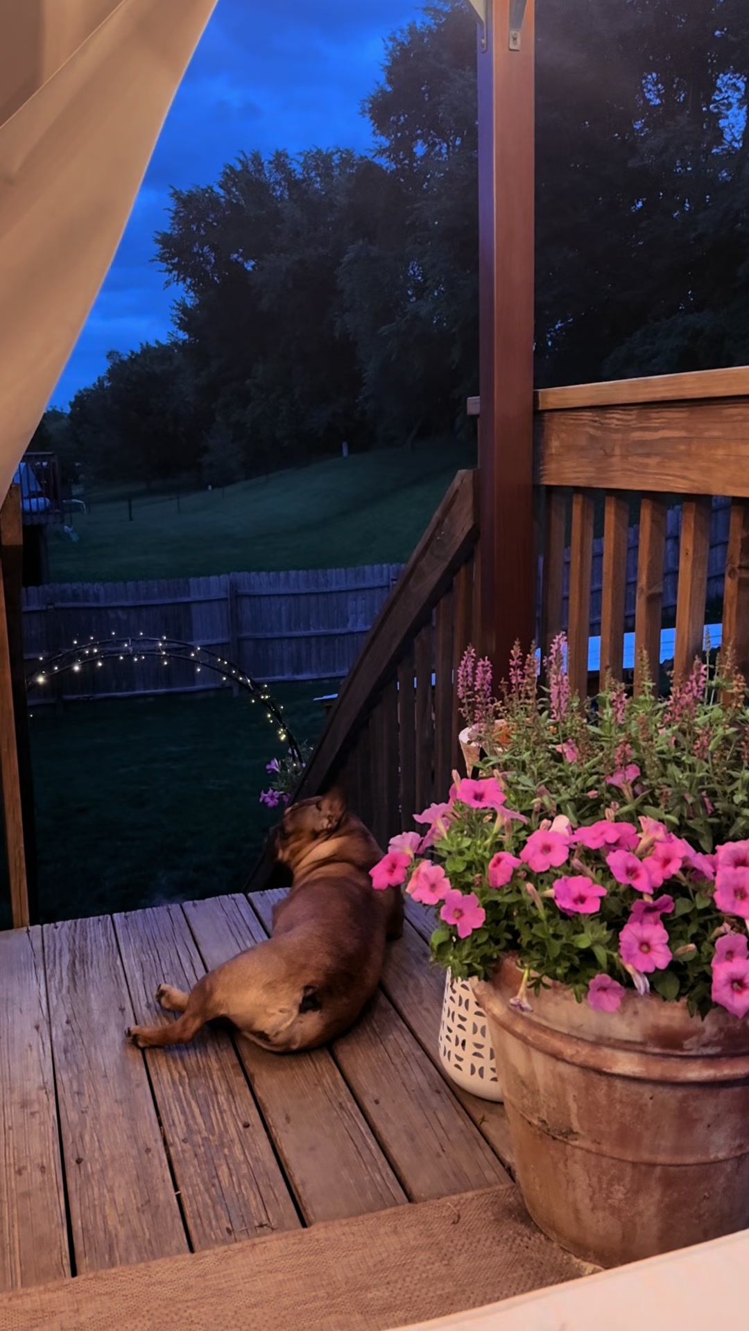 @Yvonnes Home 🐾 🌺