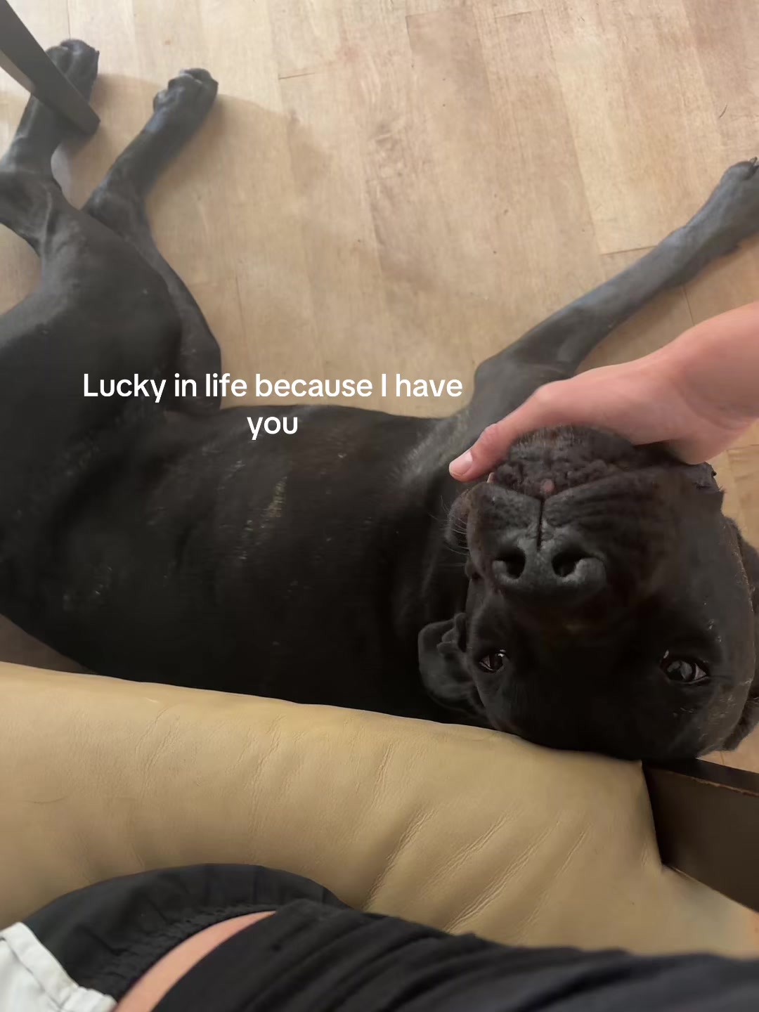 @caffeinheadache