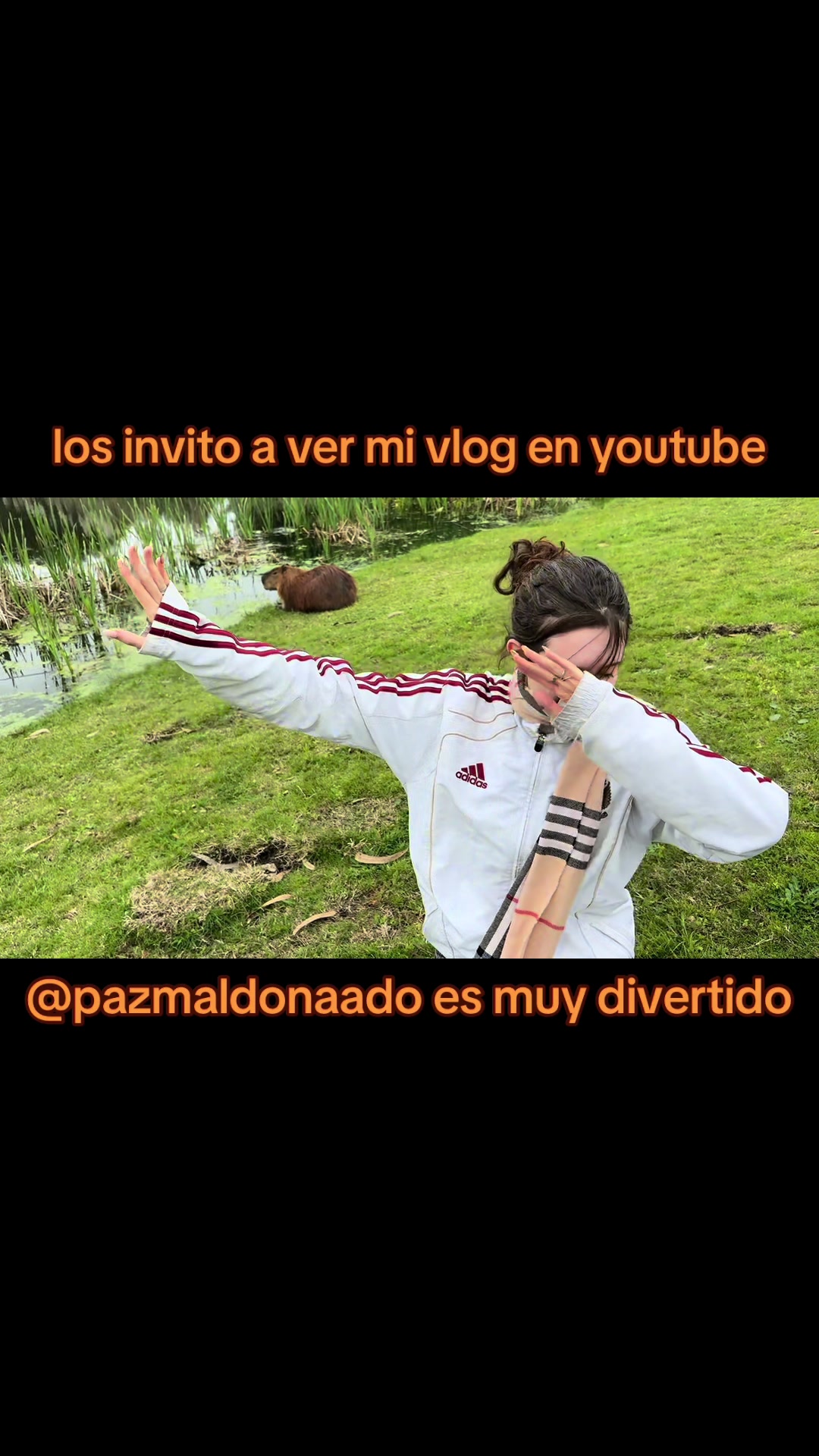@pi