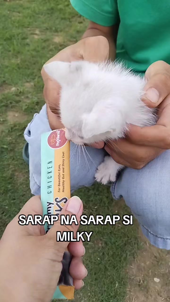 @BOSS MADAM HANNAH