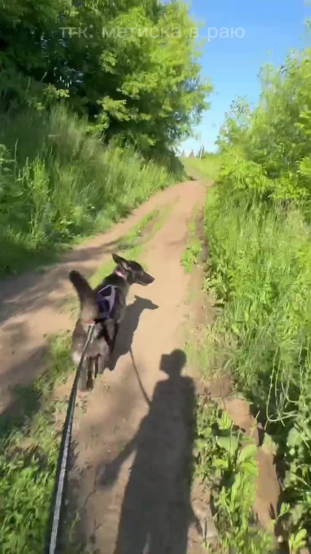@метиска в раю