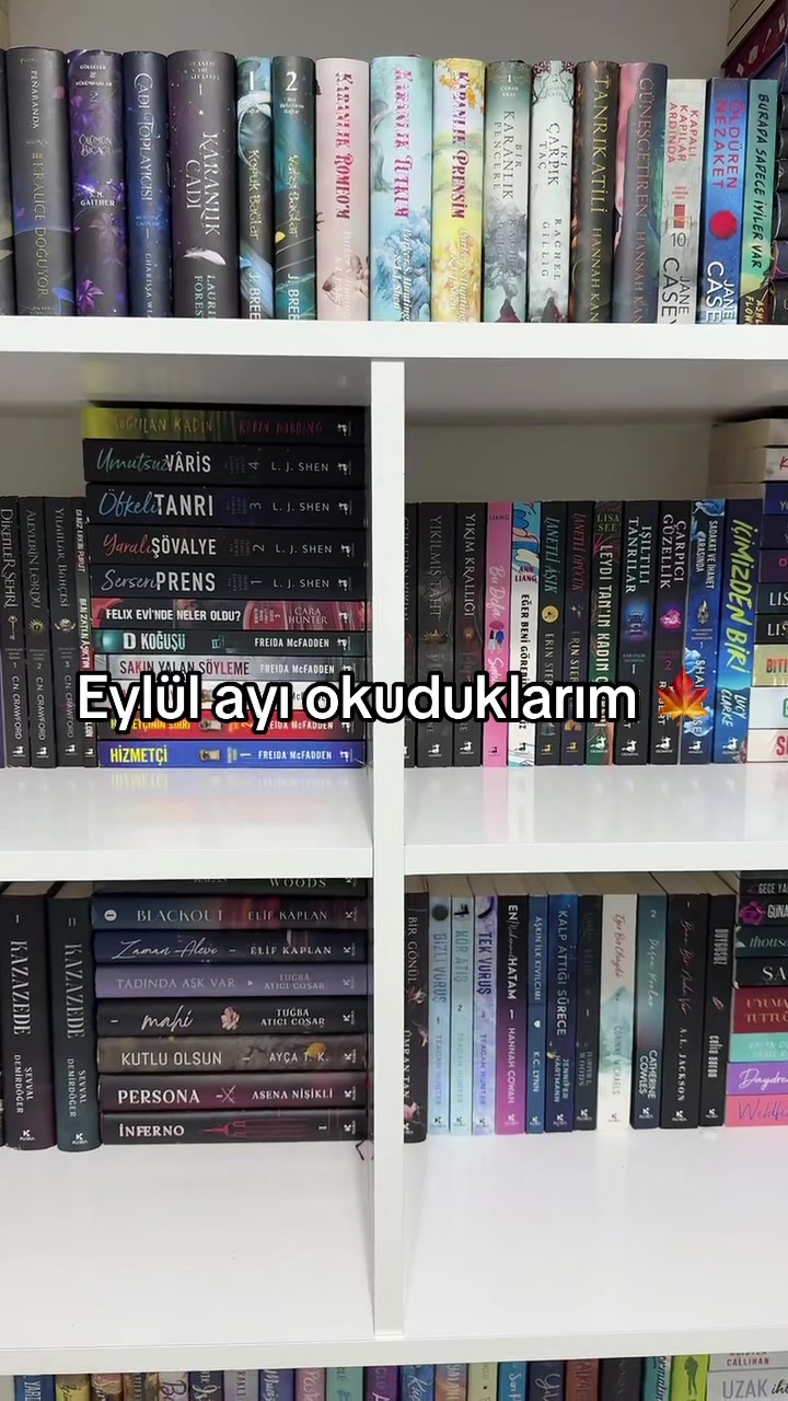 @laviniaabookss