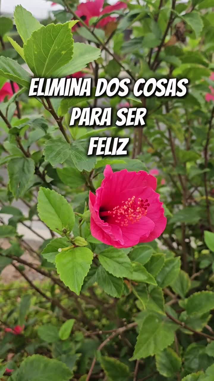 @MentesPositivas