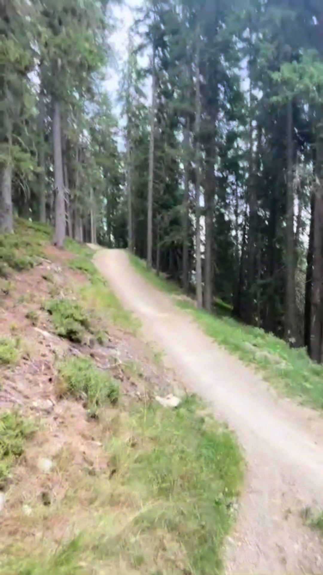 @Vitus.Freeride