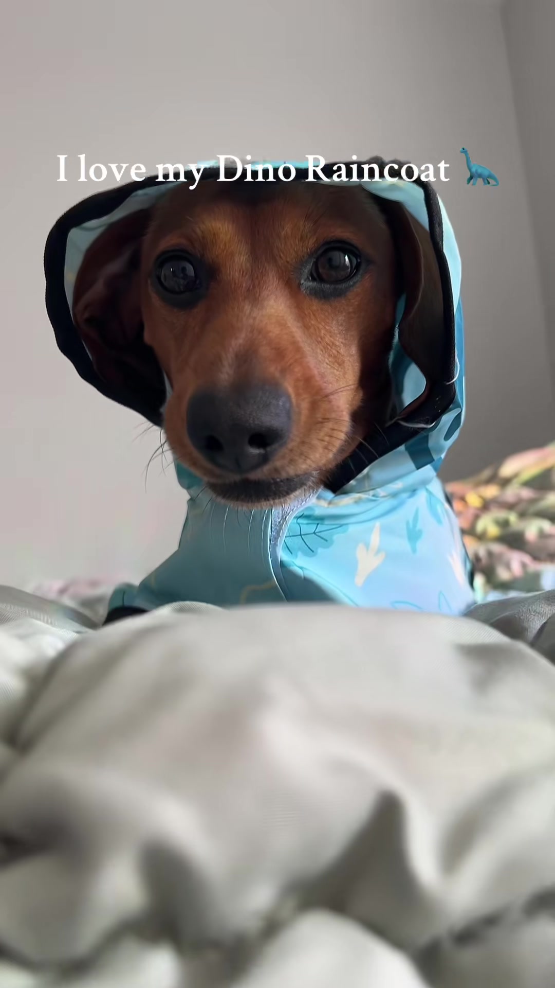 @Slinky Severus-Doo