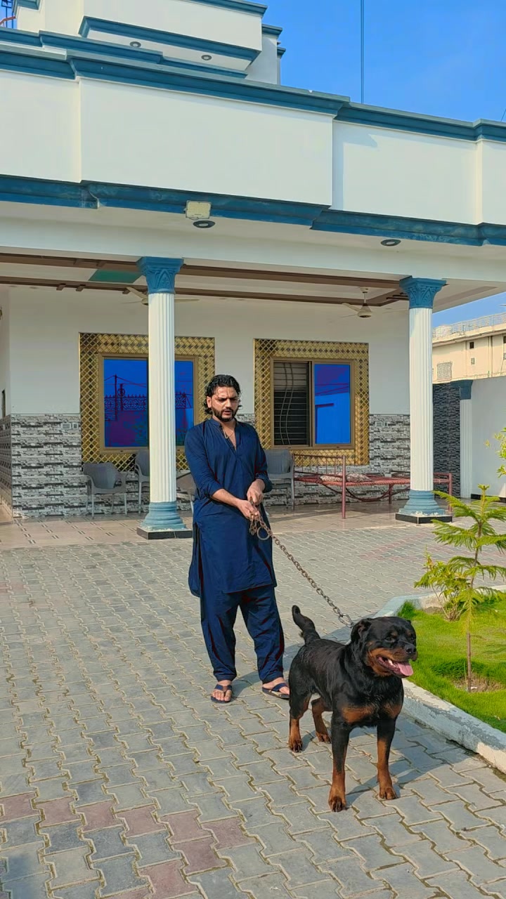 @jazib.warraich50