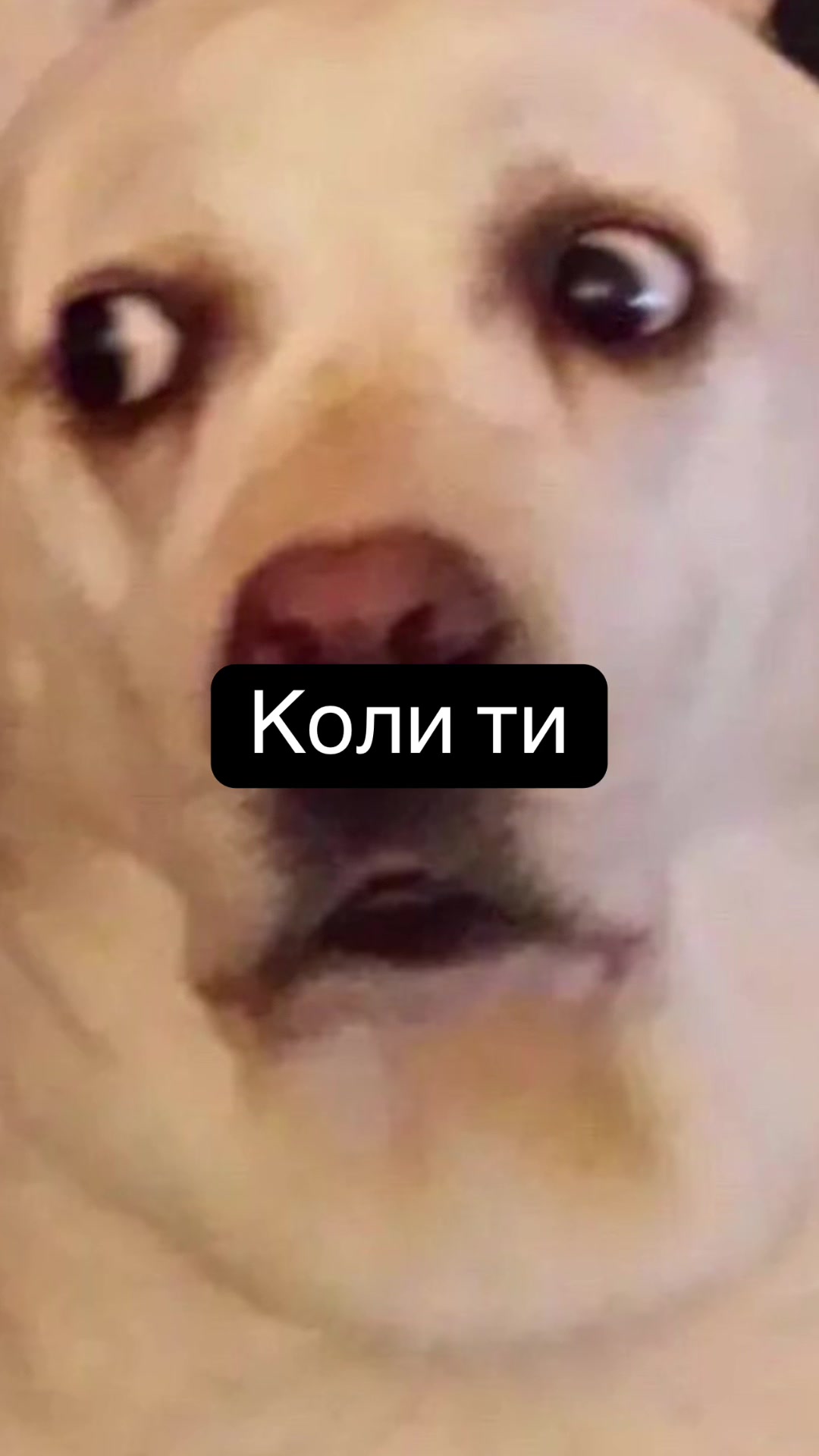 @๐ฟ๐๐๐๐