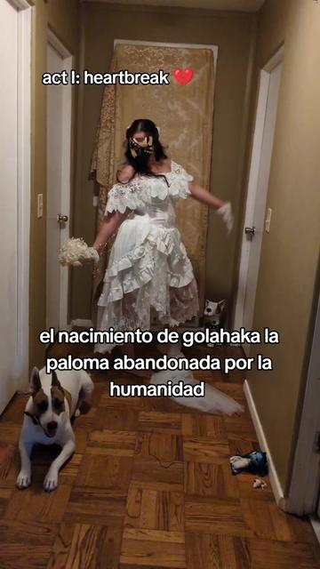 @golahaka