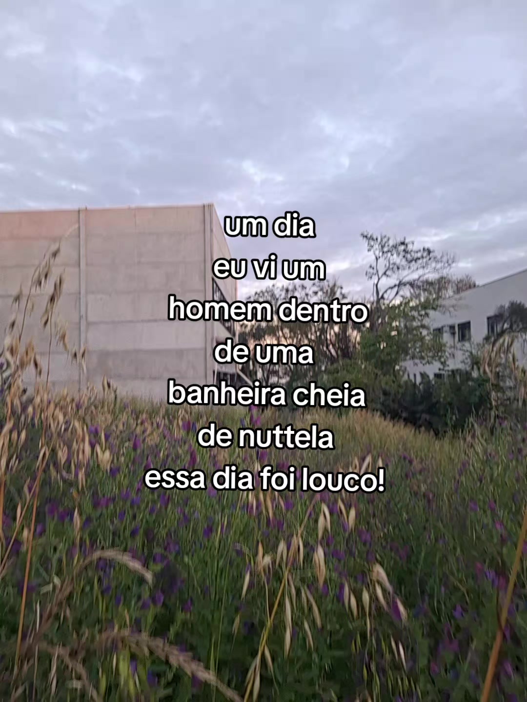 @☀️amanda🌸