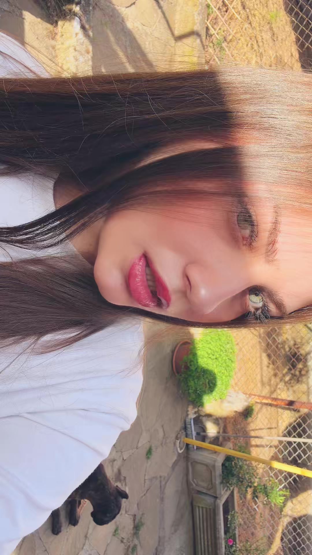 @Tea Savic