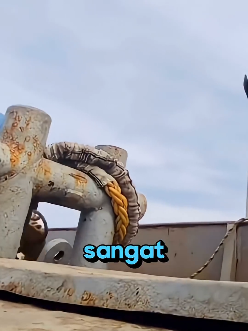 @Renn☘️
