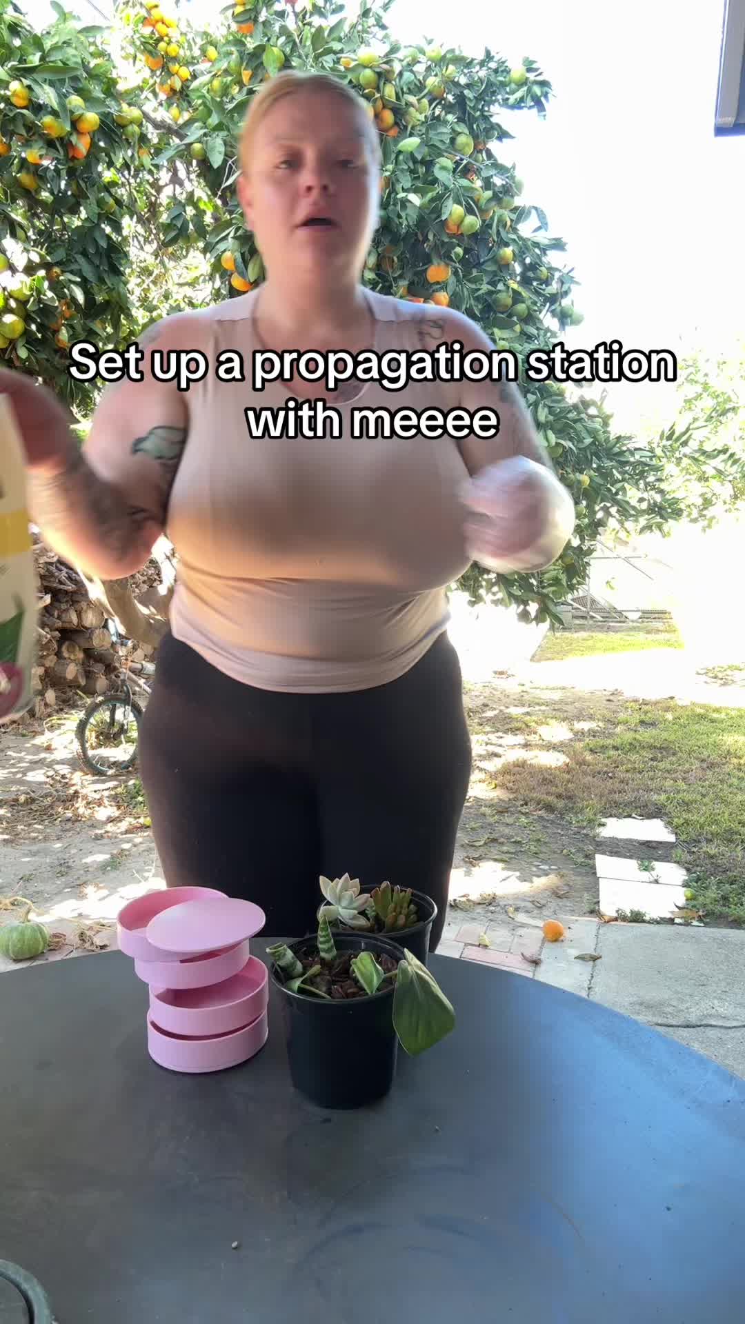 @calijess