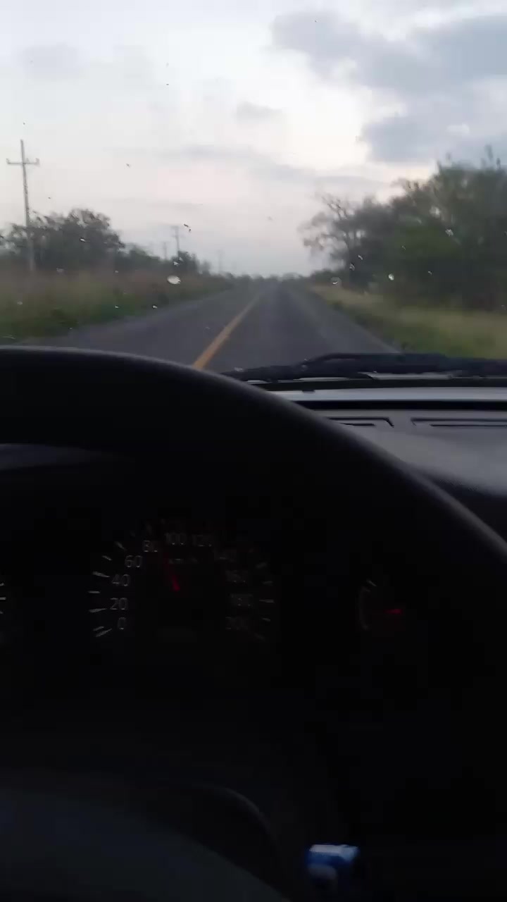 @leon