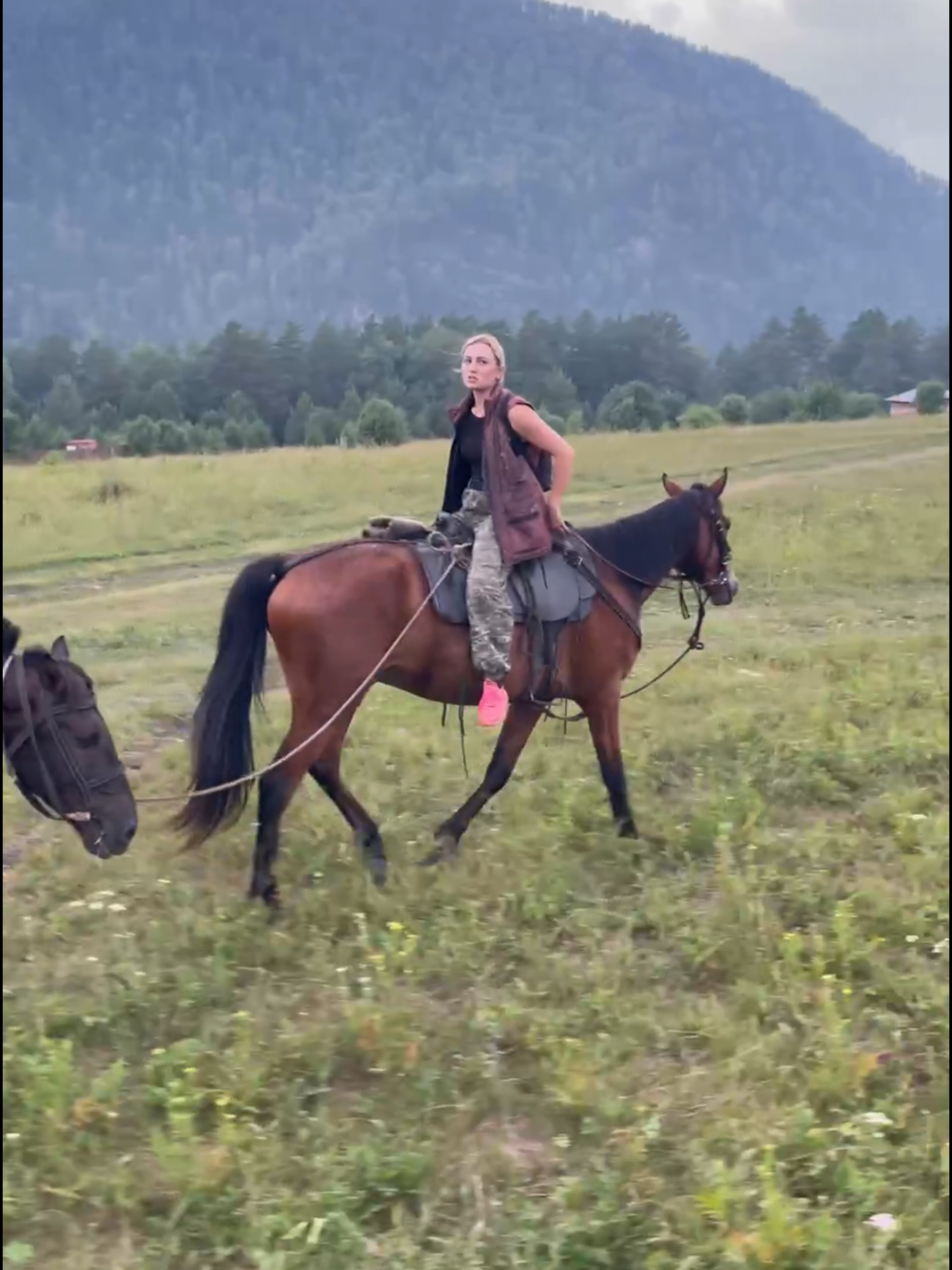 @tg: altaihorses