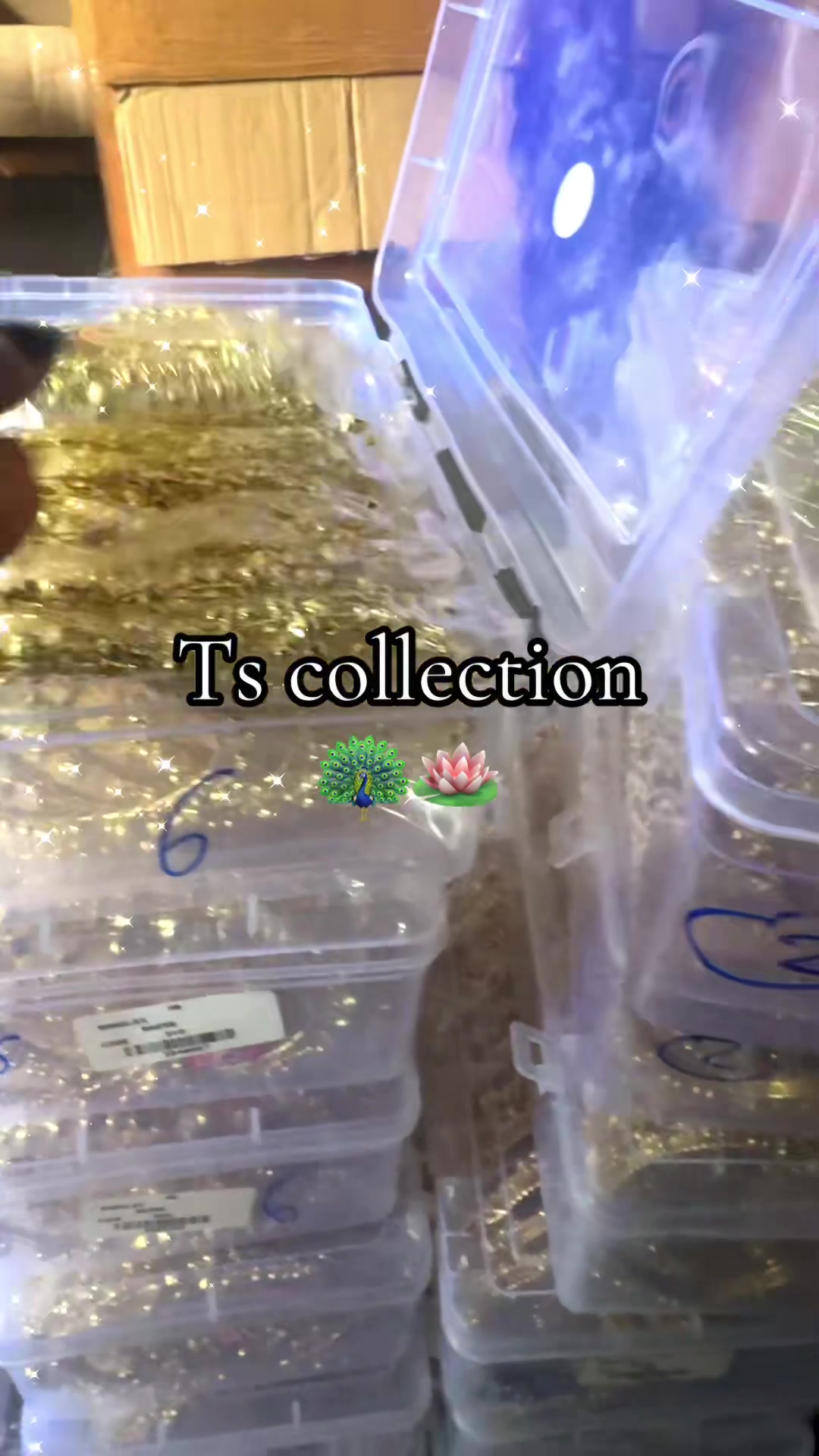 @TS COLLECTION