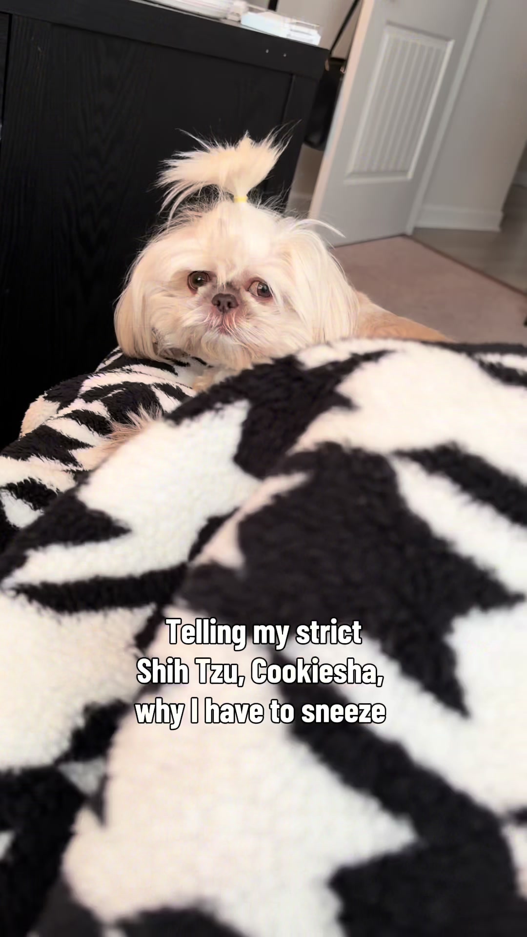 @nitaandcookiesha