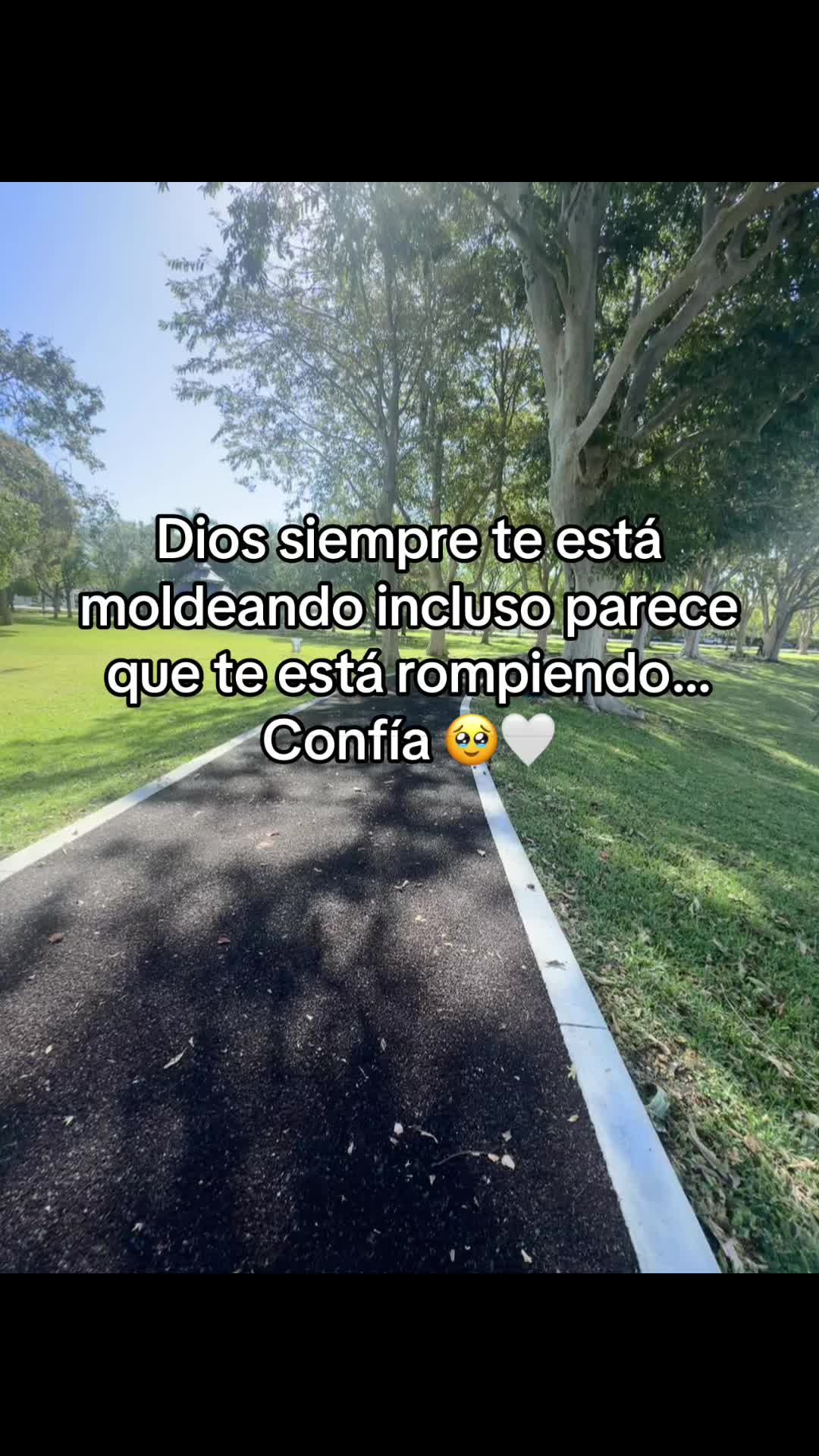 @🌸Emperatriz 🌸