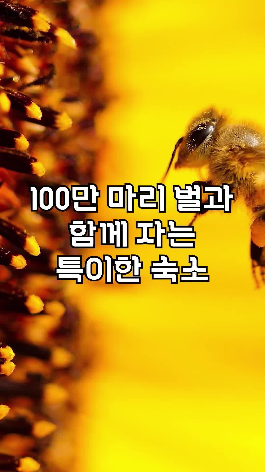 @꿀잼교실