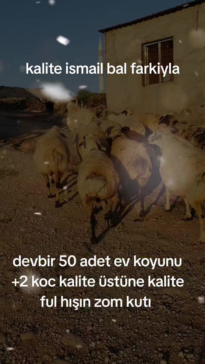 @Ismail Bal