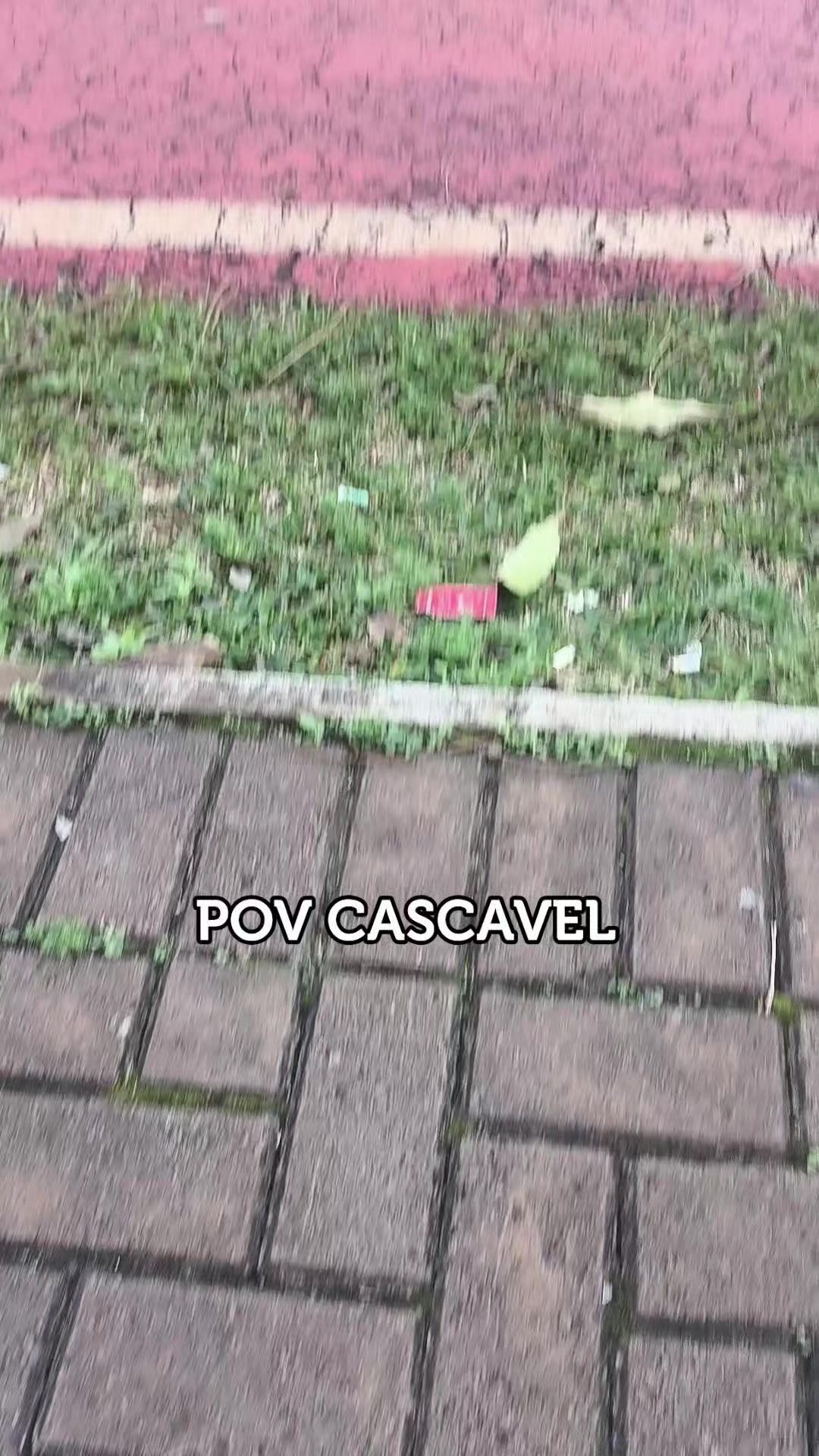 @00 de Cascavel 🐍