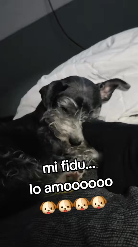 @๐๐ lic.dominick๐๐