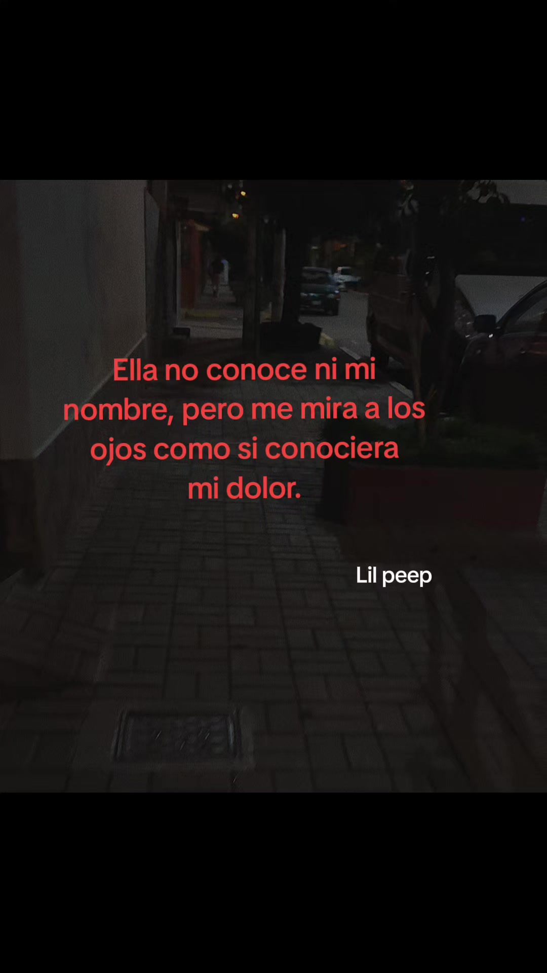 @ALE ⋆.˚꩜ .ᐟ˙⋆