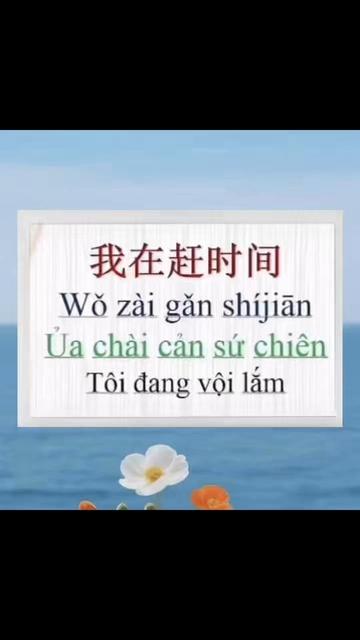 @Linh Ở Thượng Hải