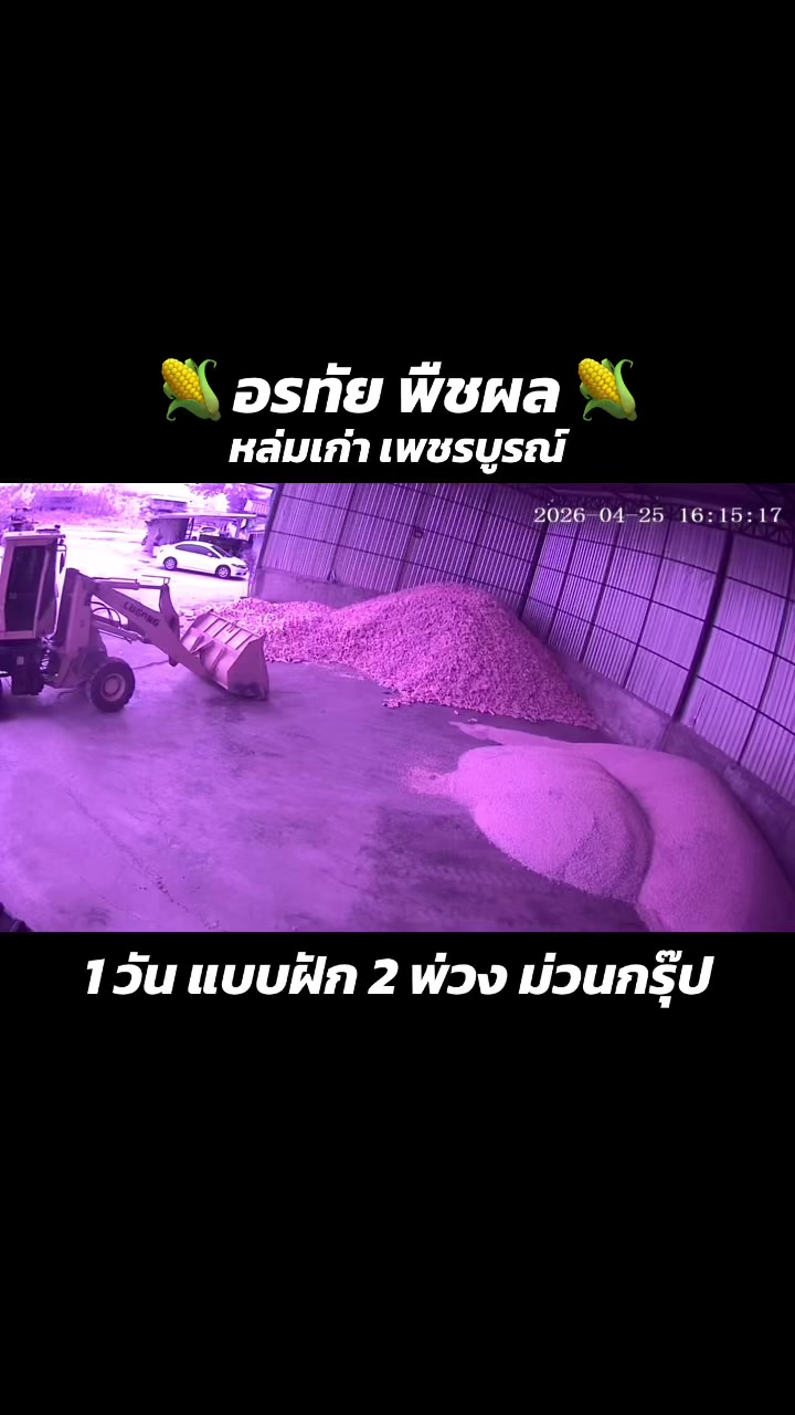 @ลิต้าร์ ไม่ใช่ กีต้าร์ 🫠
