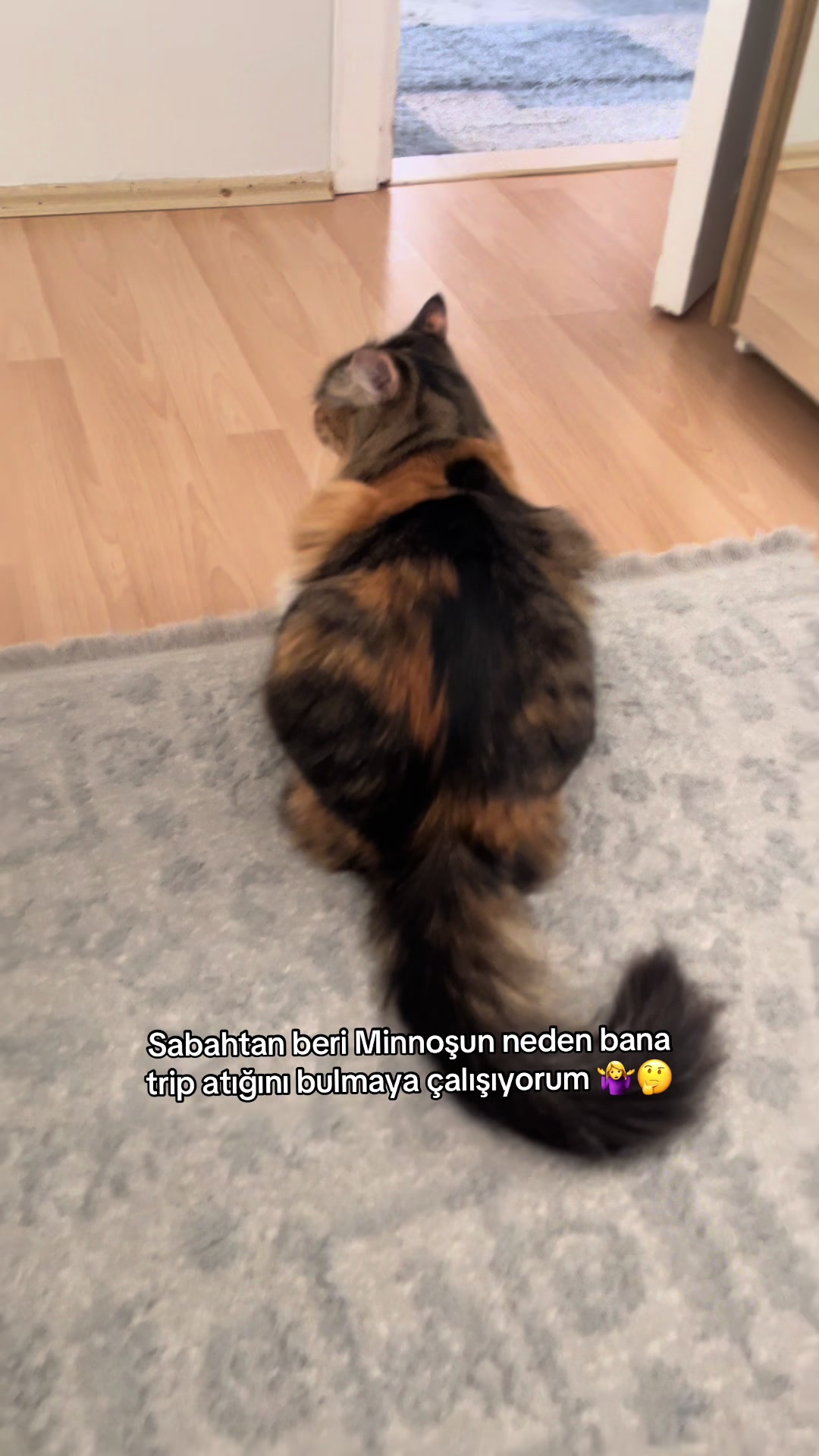 @konusankediminnos