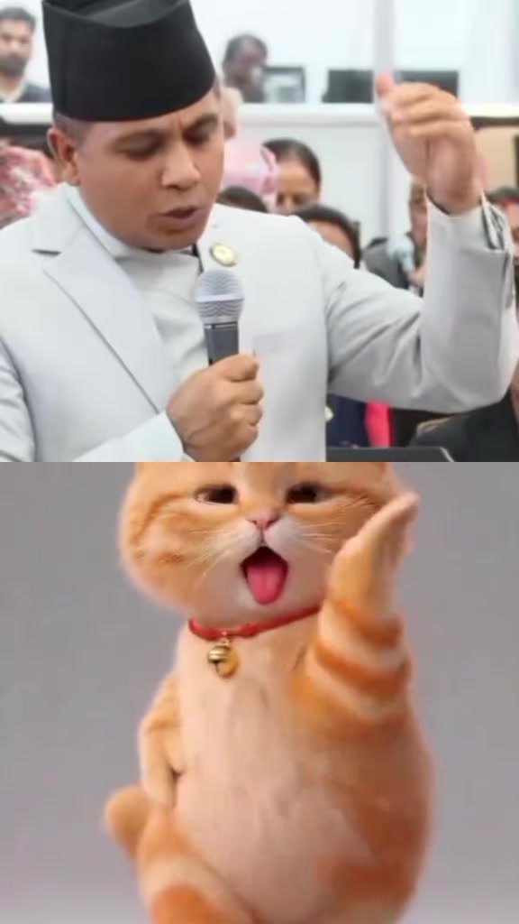 @nesefung