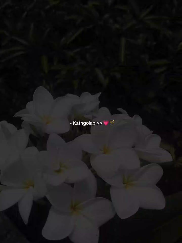 @- ๐ฒ๐๐ฌ๐๐ฎ๐๐ฃ๐ช