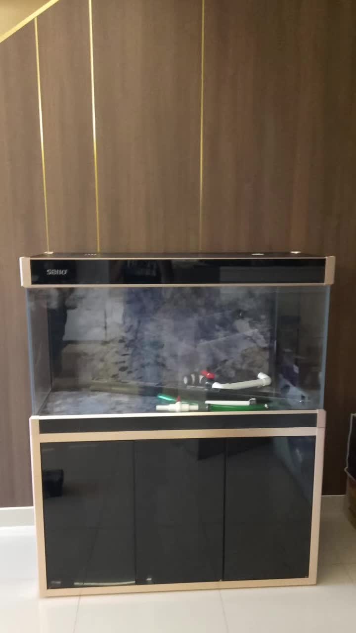 @Pearl Aquatics