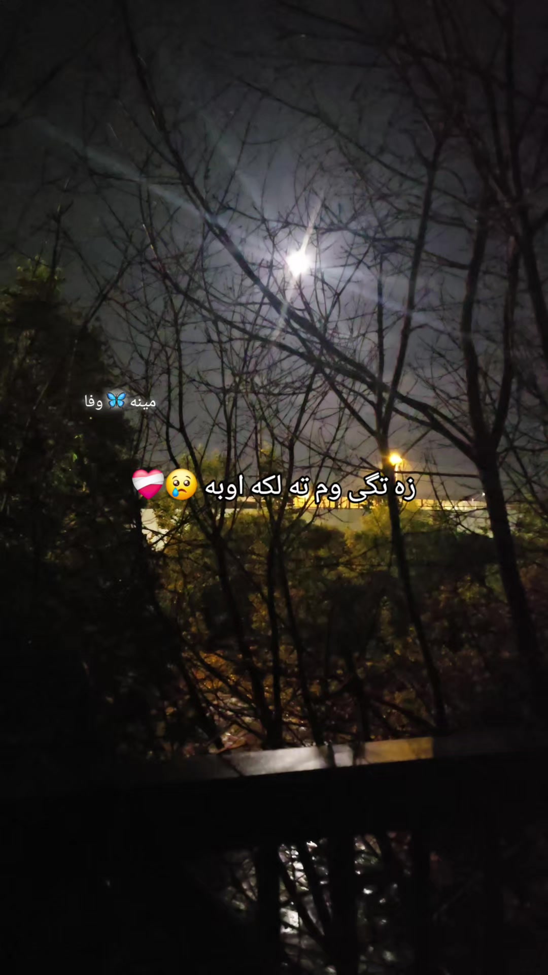 @🦋مینہ♥️وفا🦋