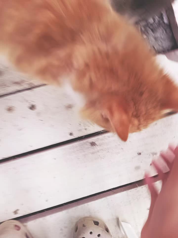 @ᕠう`🤌`    𝓨uki_𝓼tarִ ✂️