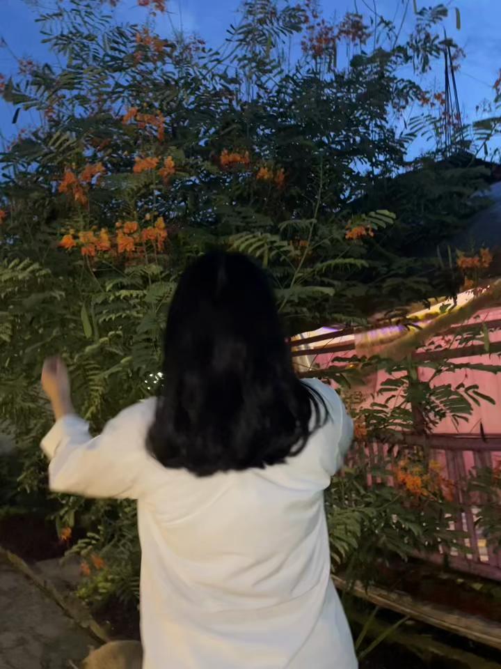 @Anjana Phurumbo Limbu