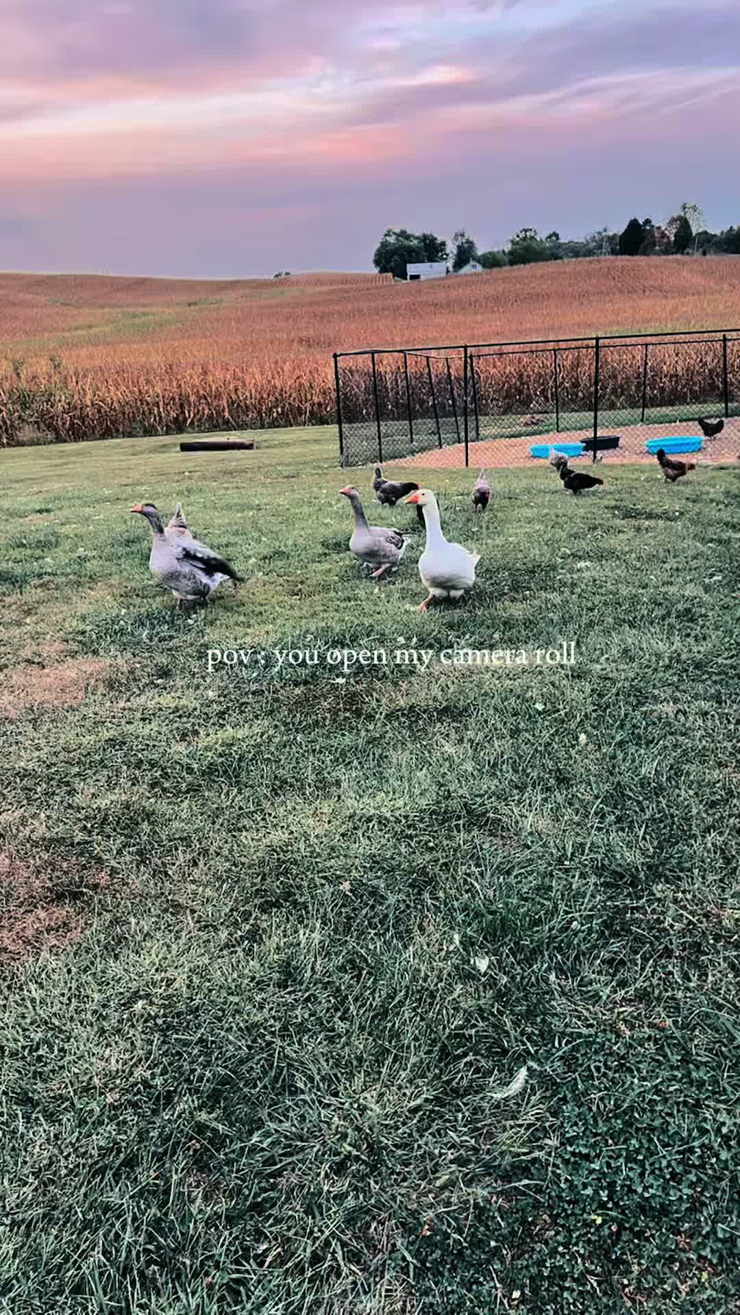 @Sabrina Werne🦆