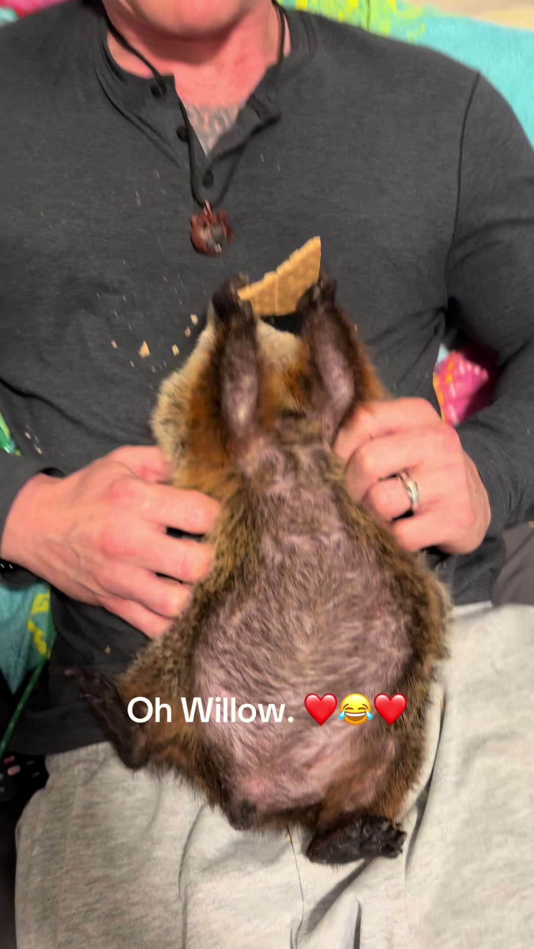 @Wilbur the Woodchuck