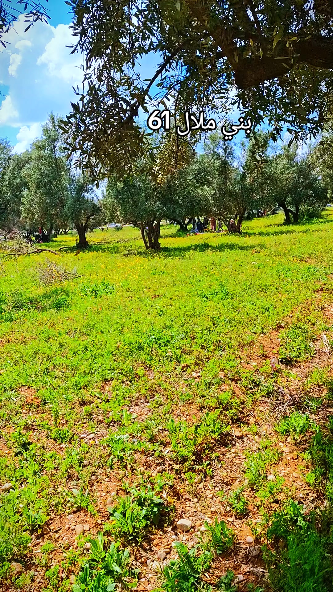 @المنظر الجميل 🌴🌻
