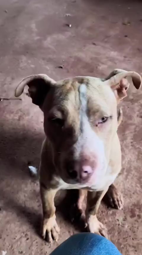 @Máximos