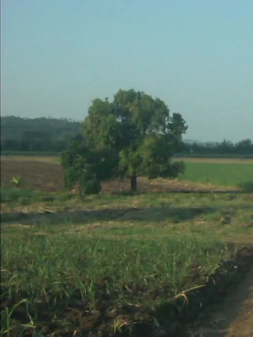 @Springᯓִֶָ࣪☾.