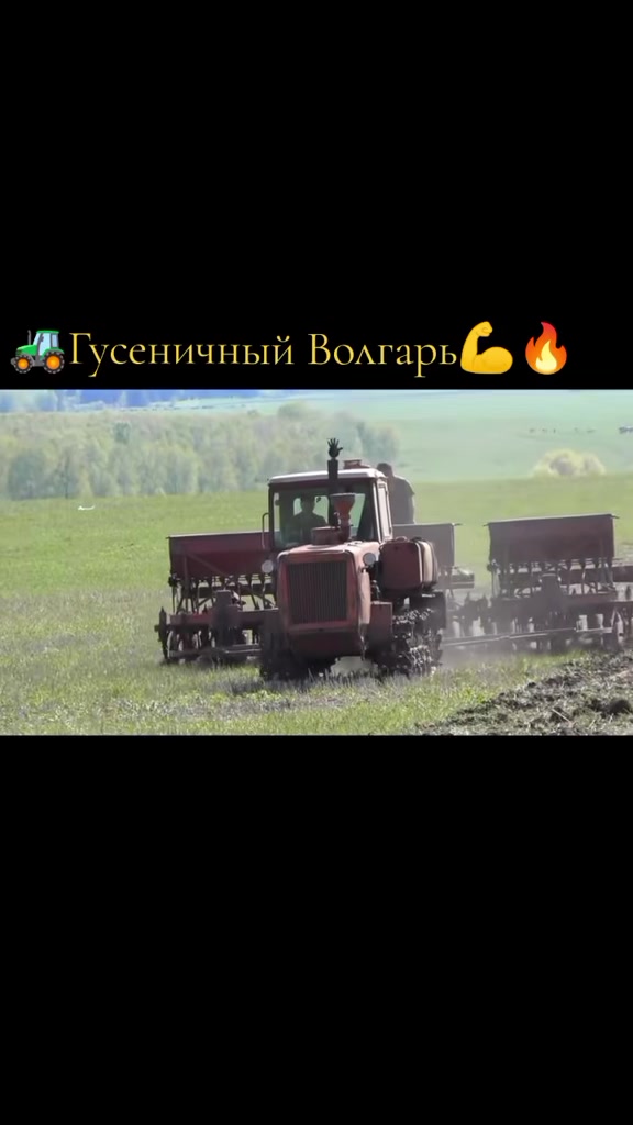 @Sanek777🪬