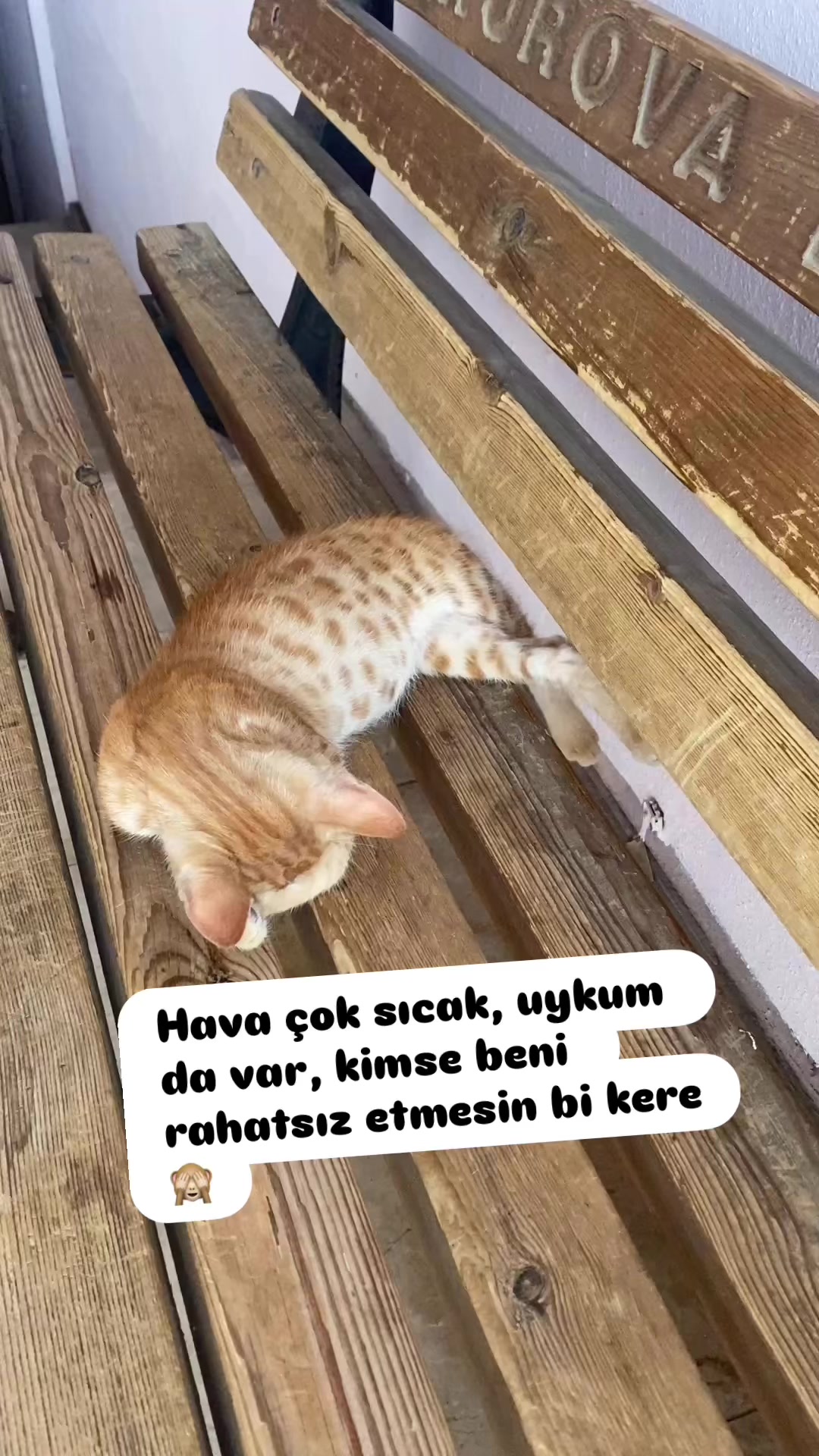 @Şapkalı Kadın