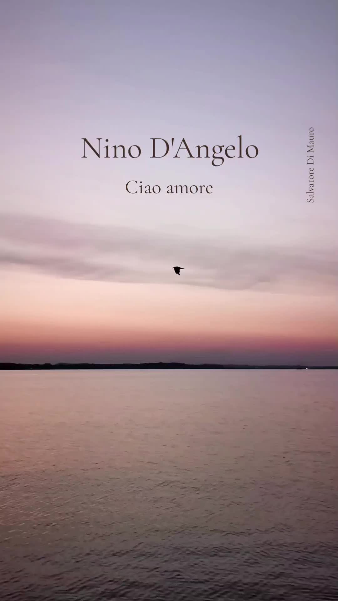 @Salvatore Di Mauro